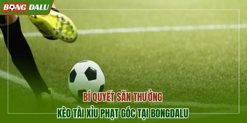 Kèo tài xỉu phạt góc