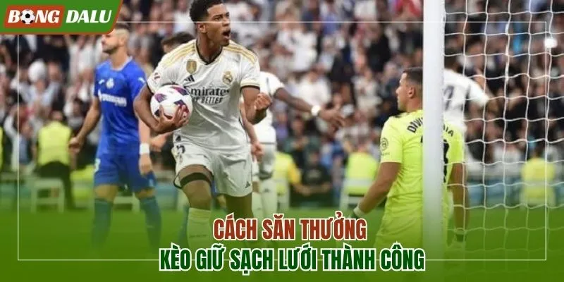 Bật mí cách săn thưởng kèo giữ sạch lưới thành công