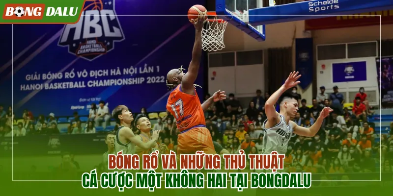 Bóng rổ