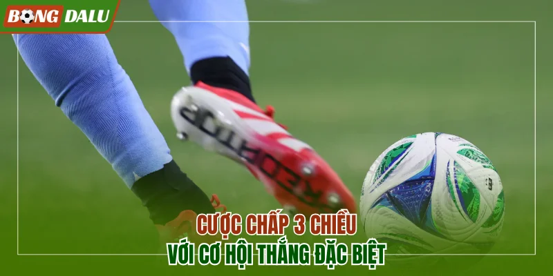 Cược chấp 3 chiều