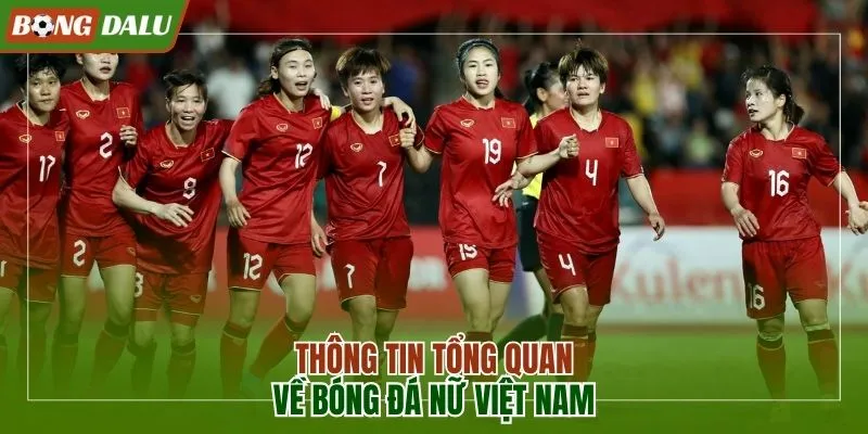 Thông tin tổng quan về đội tuyển bóng đá nữ Việt Nam