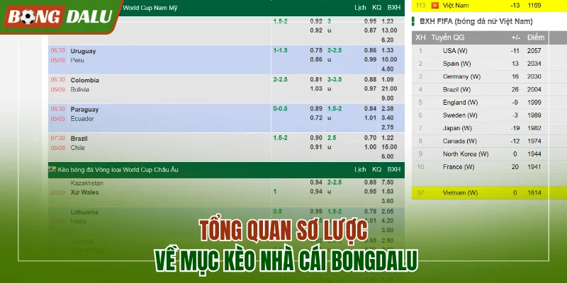 Tổng quan sơ lược về chuyên mục kèo nhà cái tại Bongdalu