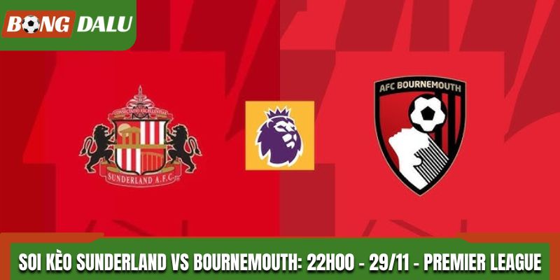 Soi kèo Sunderland vs Bournemouth: 22h00 - 29/11 - Premier League