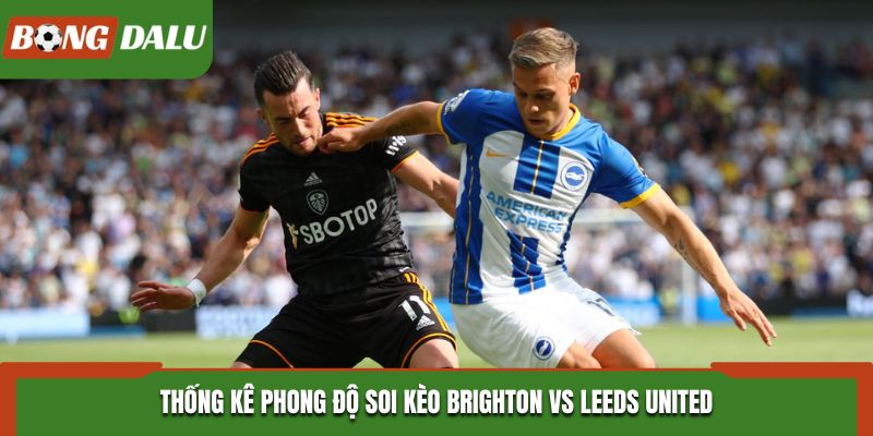 Soi kèo Brighton vs Leeds United - thống kê phong độ vừa qua