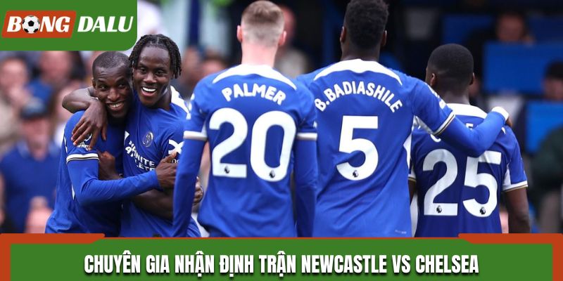 Soi kèo Newcastle vs Chelsea theo góc nhìn chuyên gia