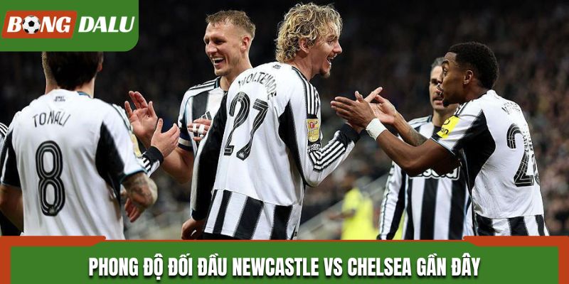 Soi kèo Newcastle vs Chelsea từ phong độ đối đầu