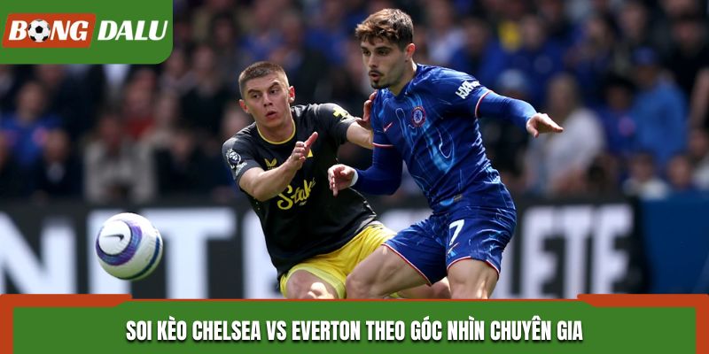 Soi kèo Chelsea vs Everton theo góc nhìn chuyên gia